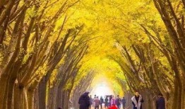 邳州热点爆料最新消息